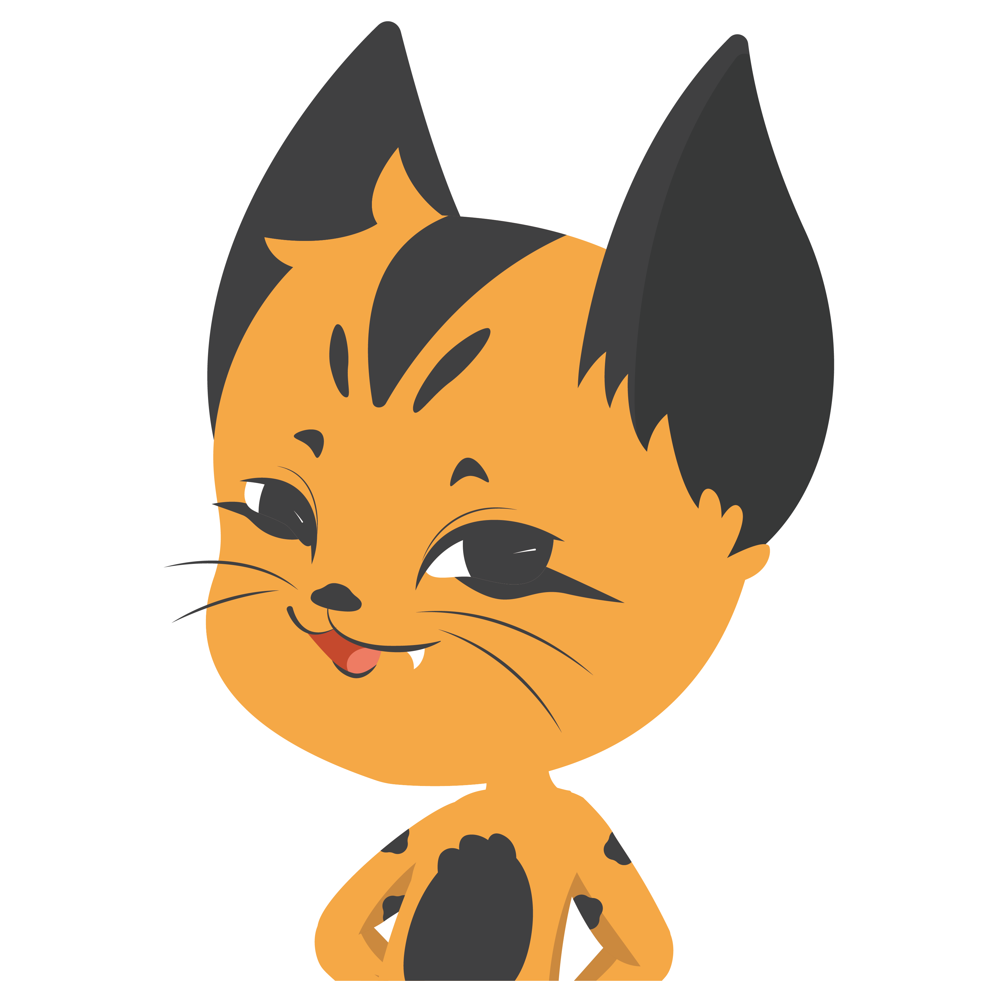 豹猫